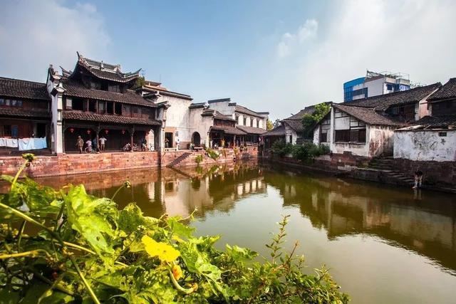 范伟，娱乐圈中的“异类”，生活中的“痴情种”